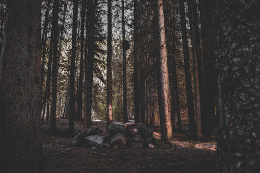 Black Forest