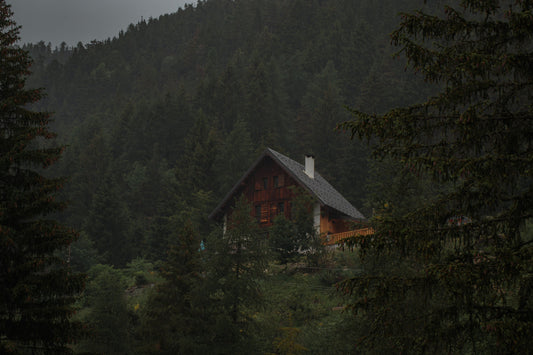 Wild Cedar